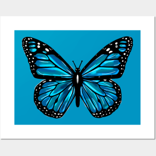 Blue butterfly Posters and Art